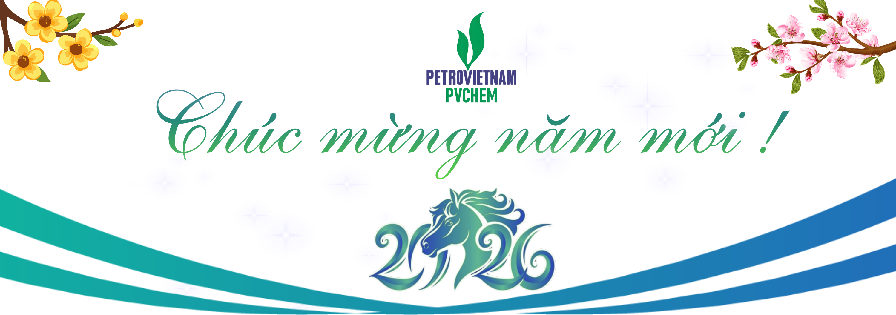Banner CMNM PVChem 2026